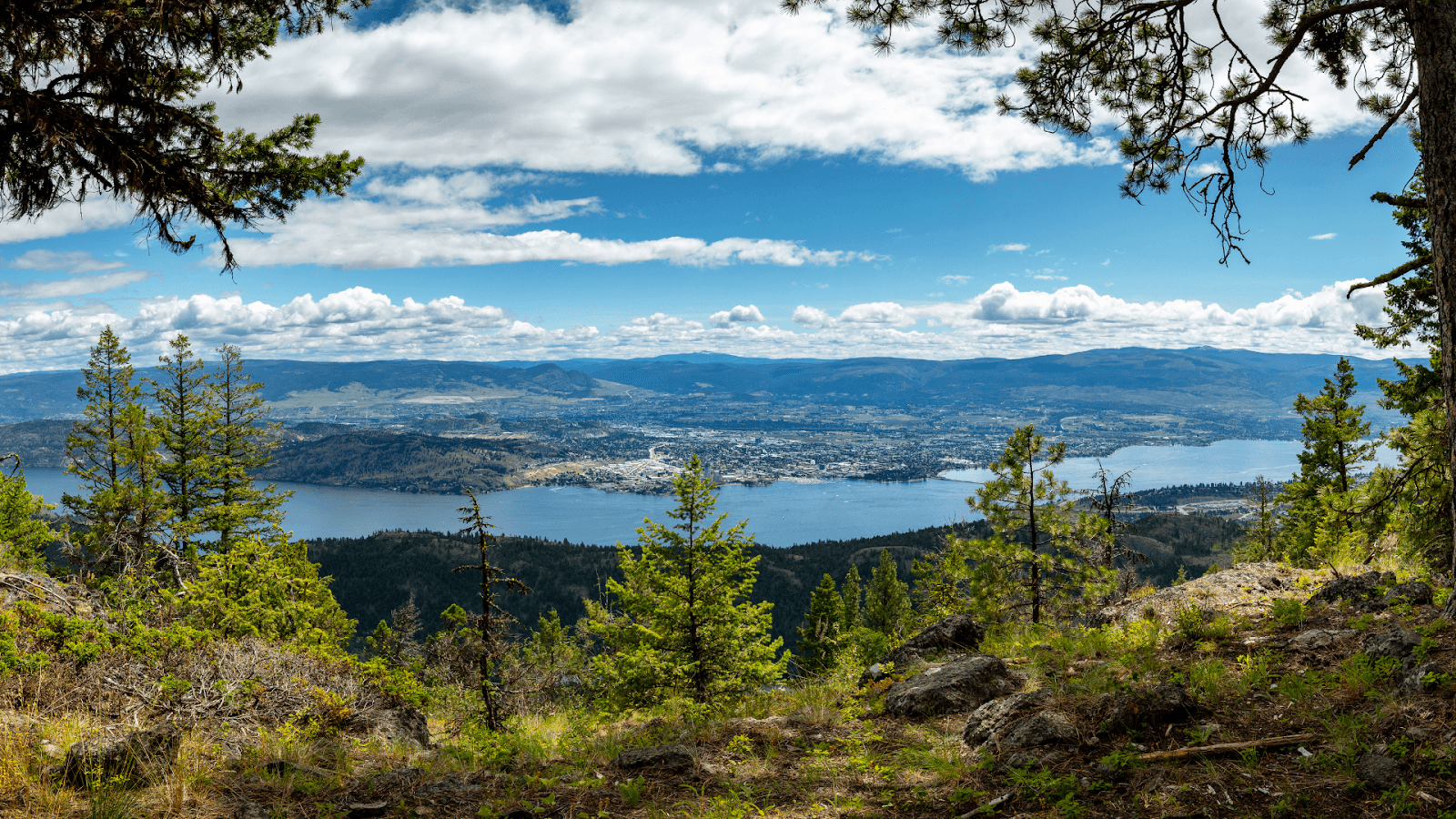Panoramic view of Okanagan Lake and Kelowna from a forested hilltop