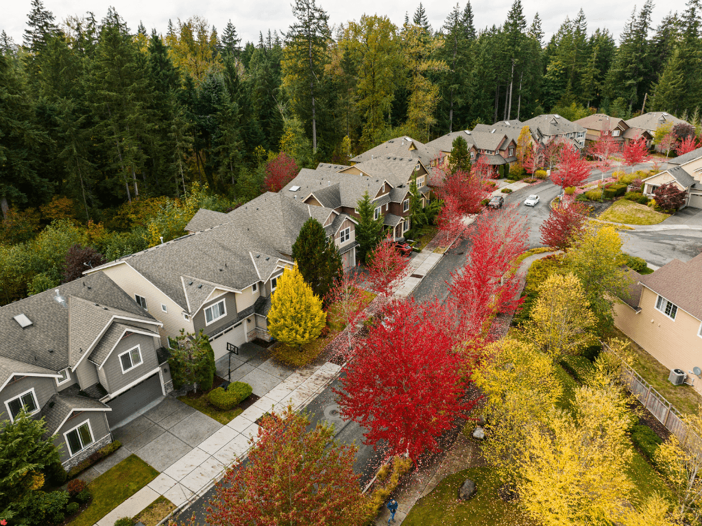 Aerial view of a suburban neighbourhood in autumn colours