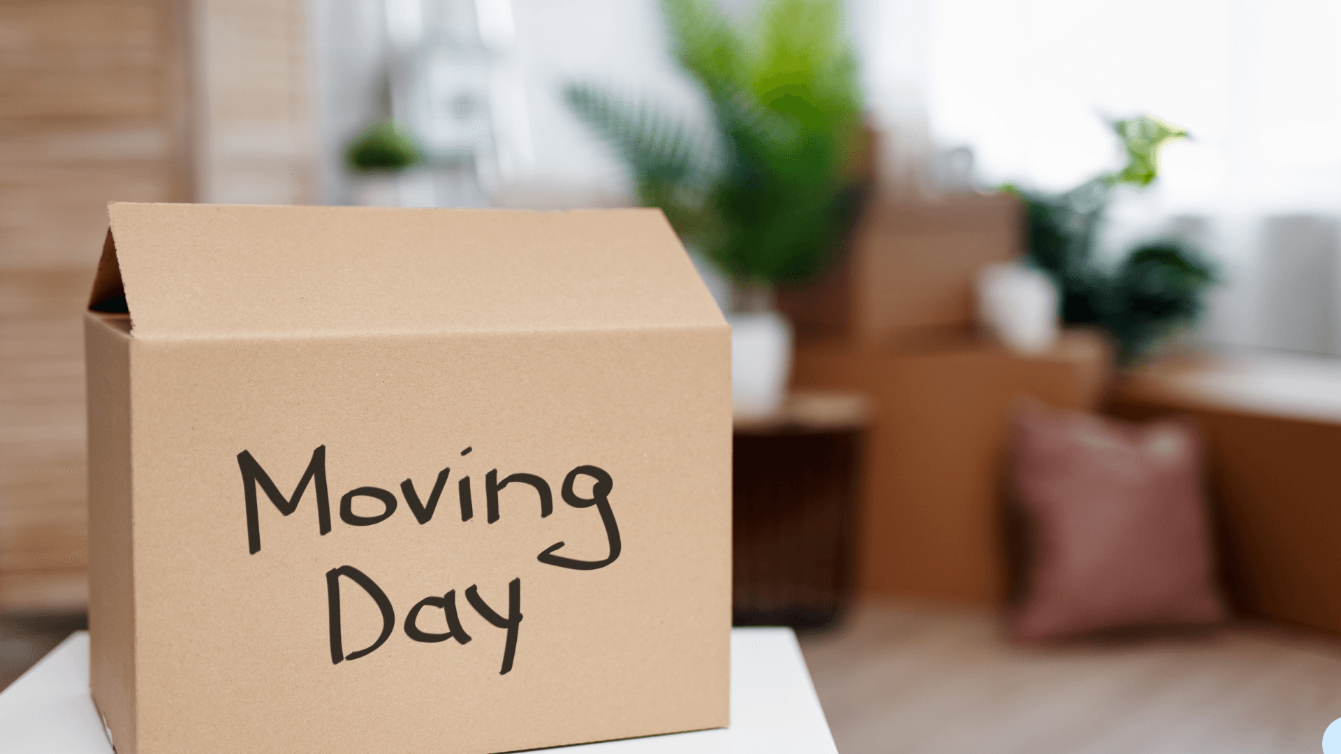 A cardboard box labelled Moving Day in a living room